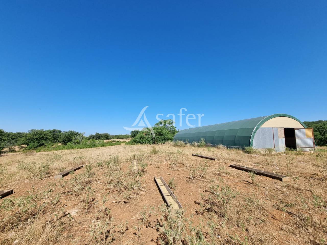 Explotaci&oacute;n ovina En venta Lot