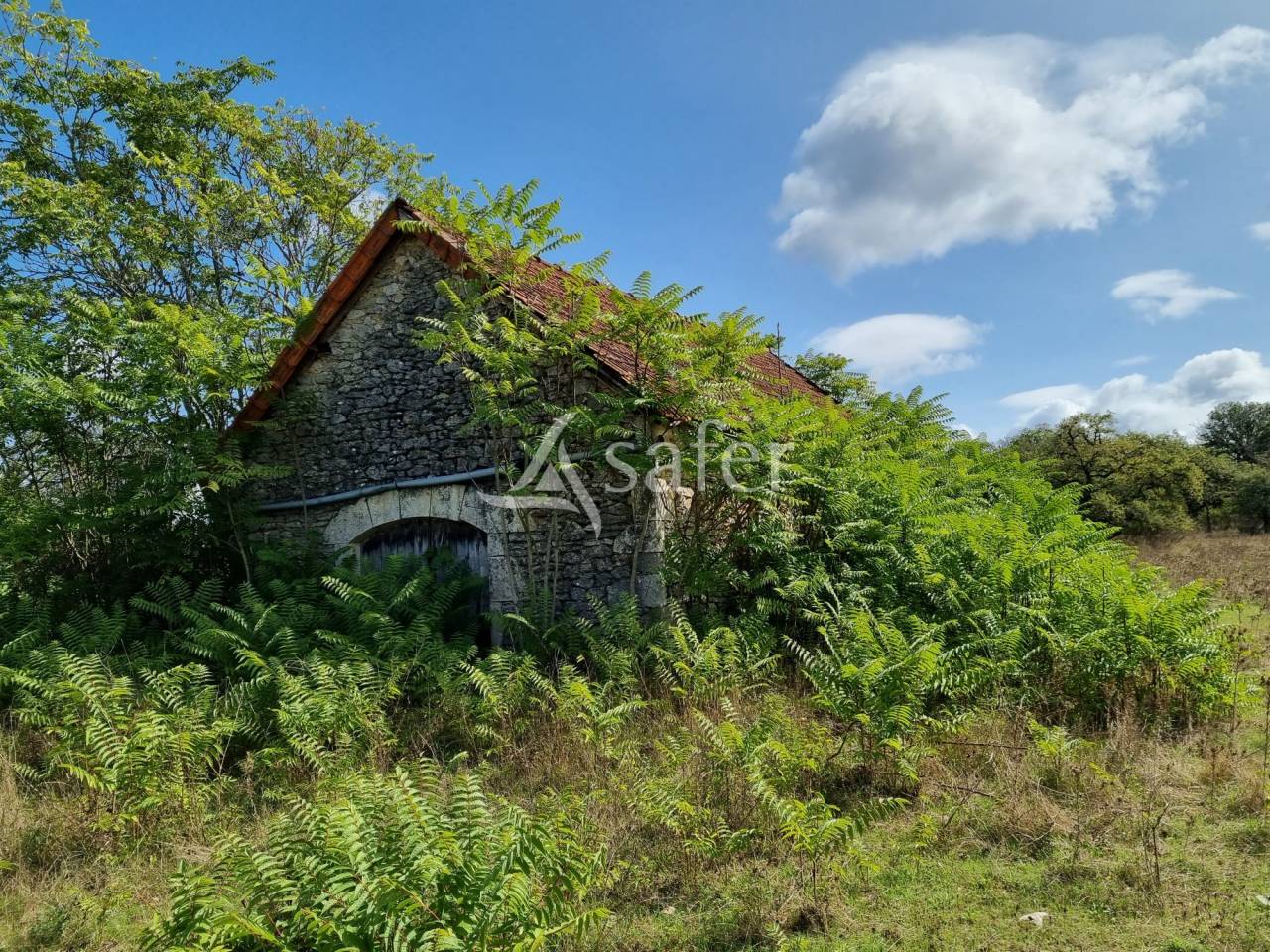 Explotaci&oacute;n ovina En venta Lot