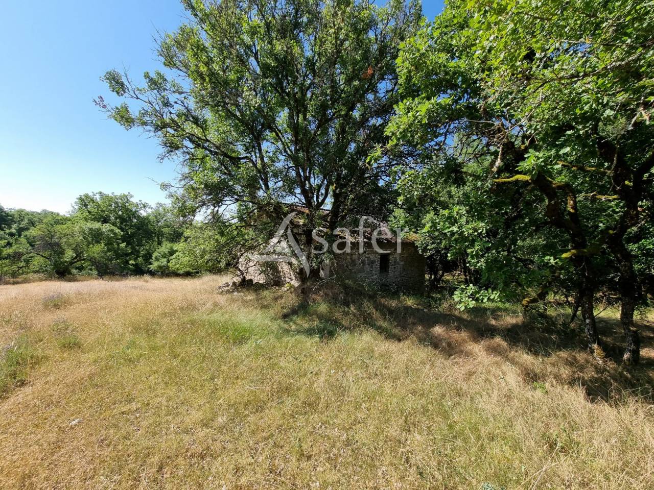 Explotaci&oacute;n ovina En venta Lot