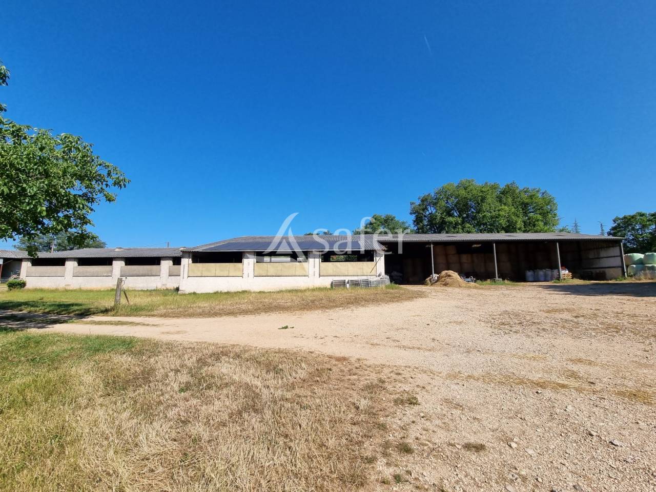 Explotaci&oacute;n ovina En venta Lot