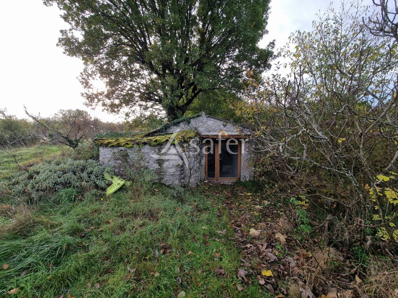 Explotaci&oacute;n agr&iacute;cola En venta Lot