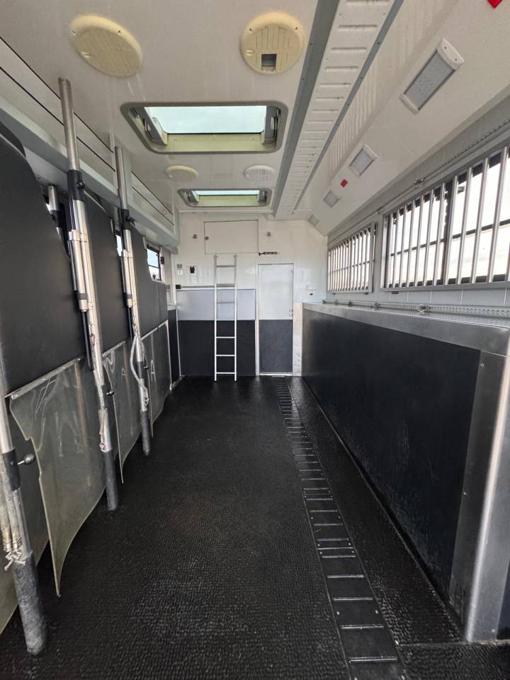 Cami&oacute;n para caballos Volvo STX 2018 De segunda mano