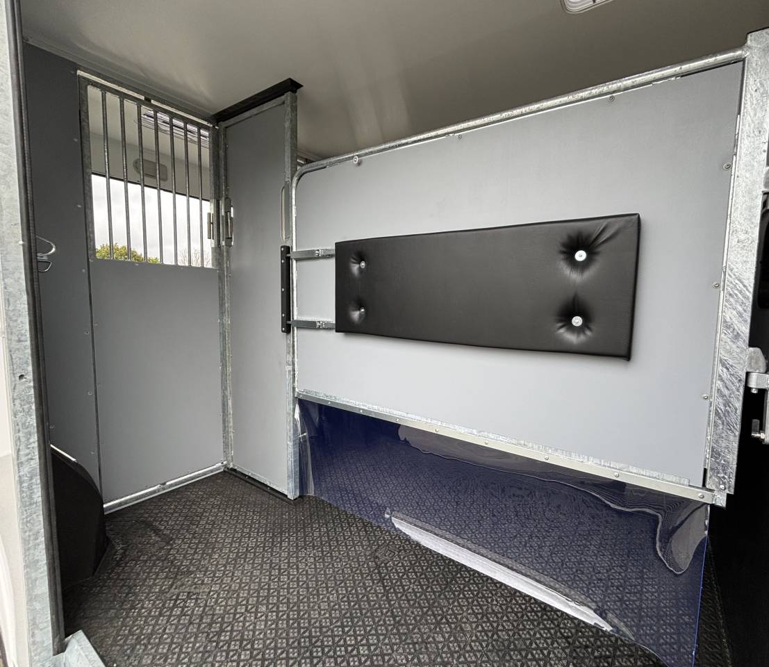 Furgoneta para caballos AP Petit Interstar 2 places stalle  2025 Nuevo