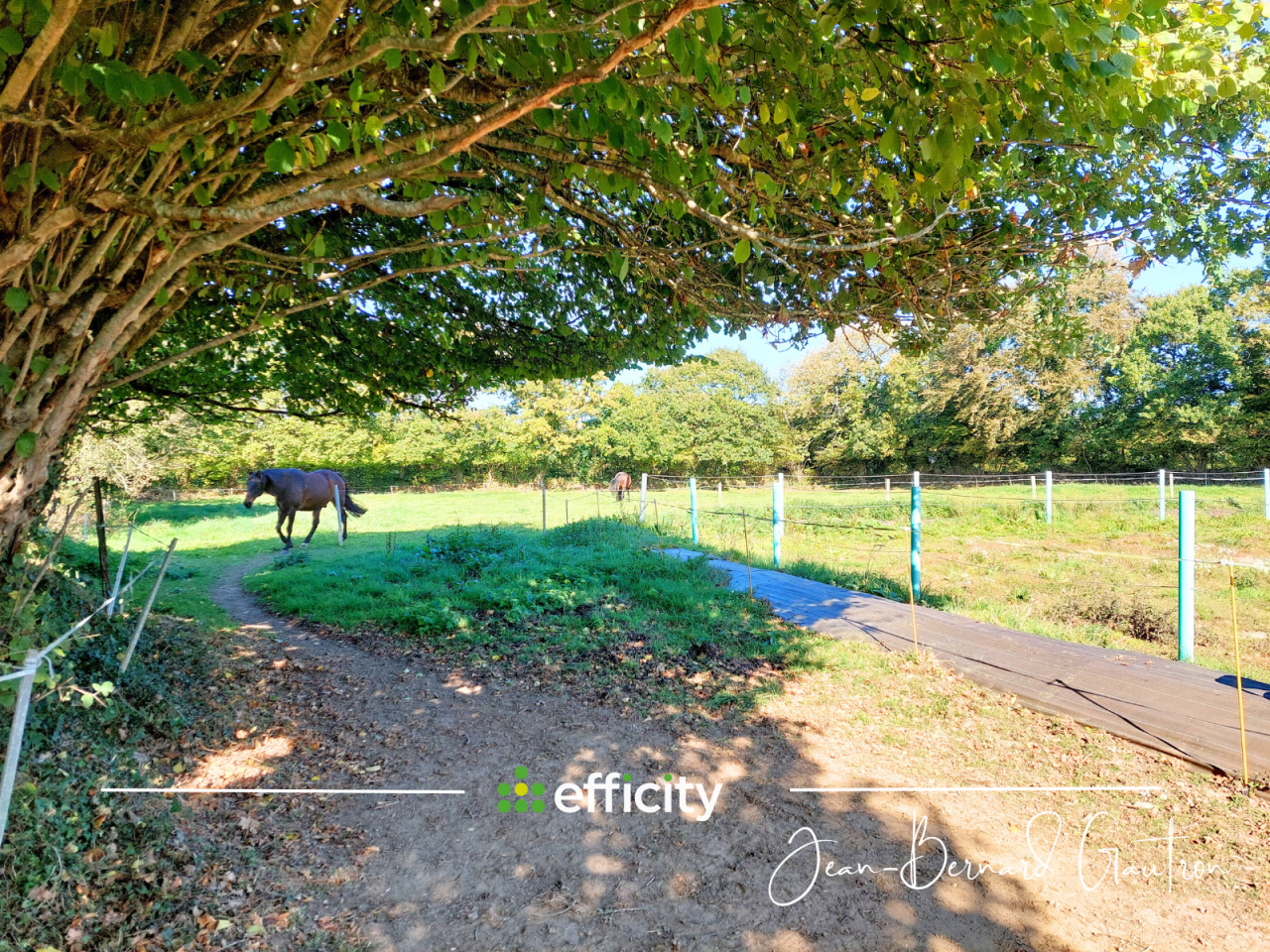 Propiedad ecuestre En venta Côte d'Armor