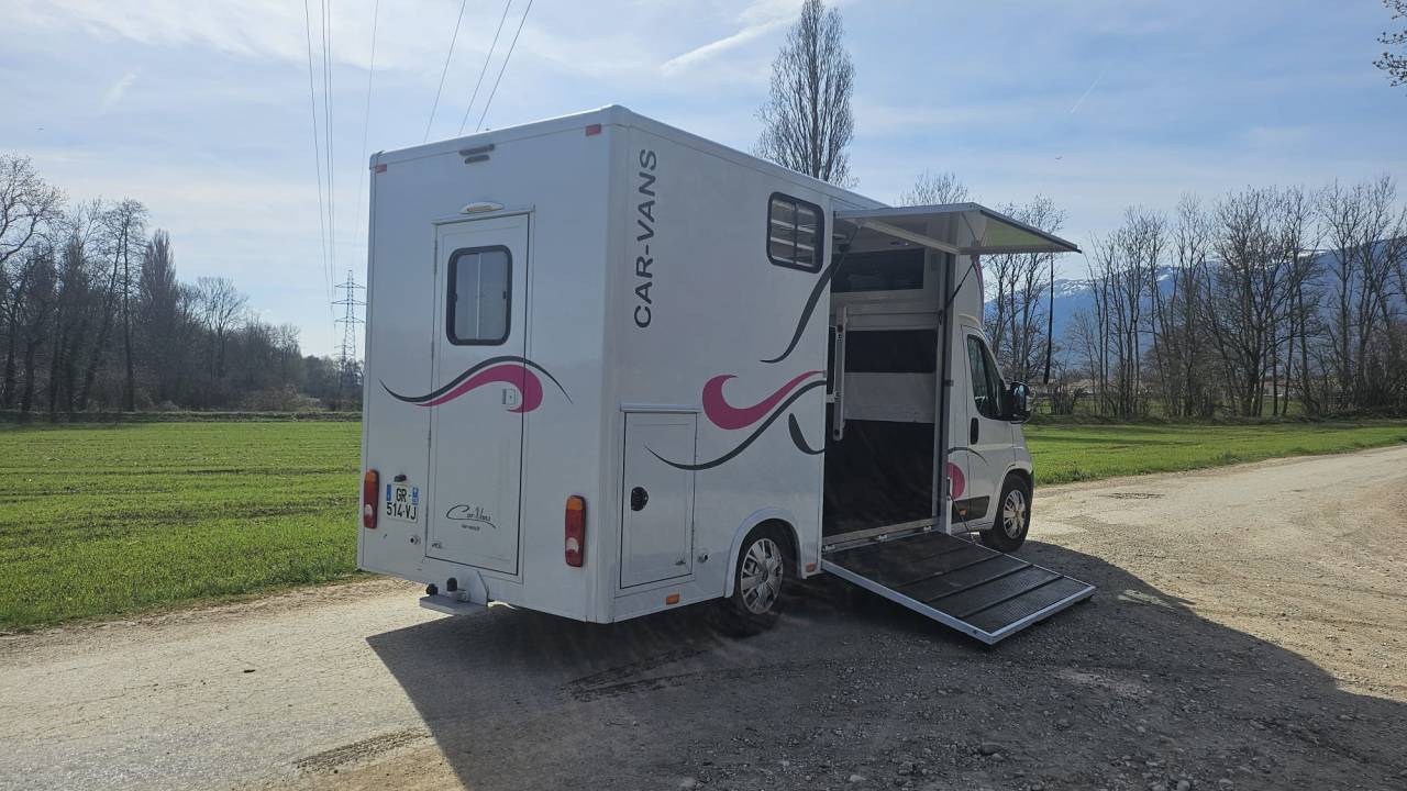 Furgoneta para caballos Fiat  Ducato 2,2 Diesel  180 chevaux 2023 De segunda mano