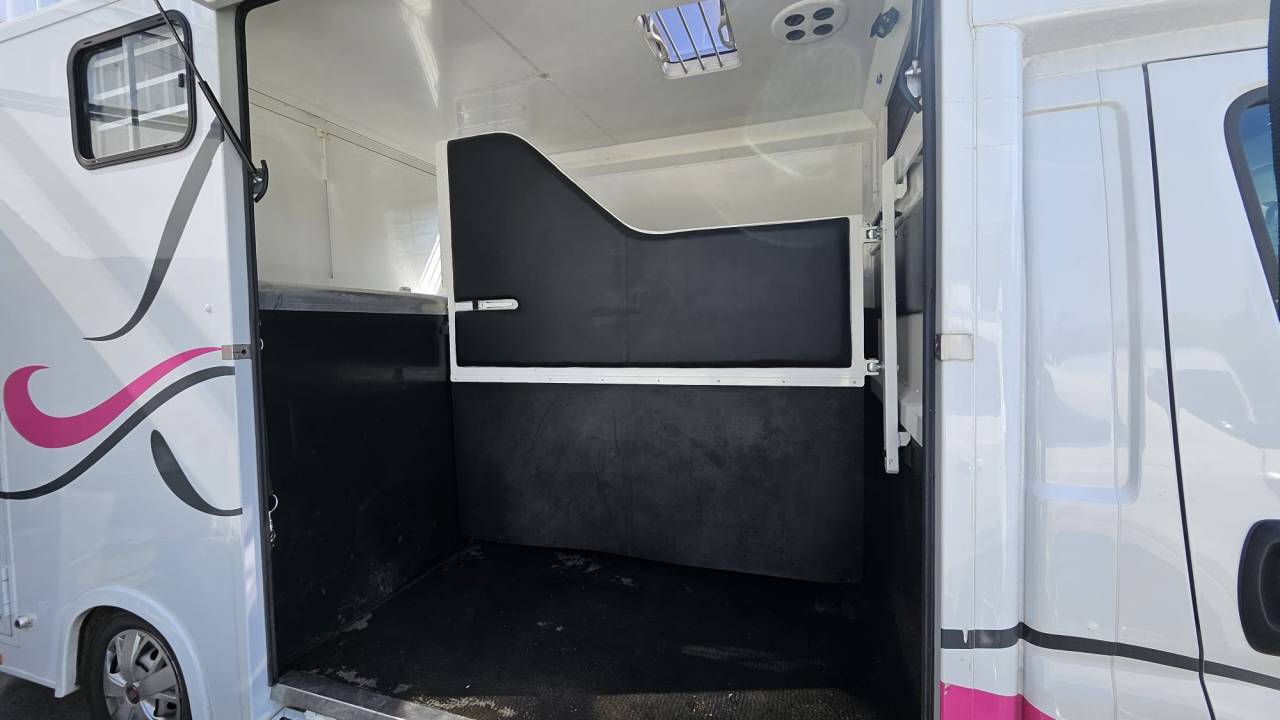 Furgoneta para caballos Fiat  Ducato 2,2 Diesel  180 chevaux 2023 De segunda mano