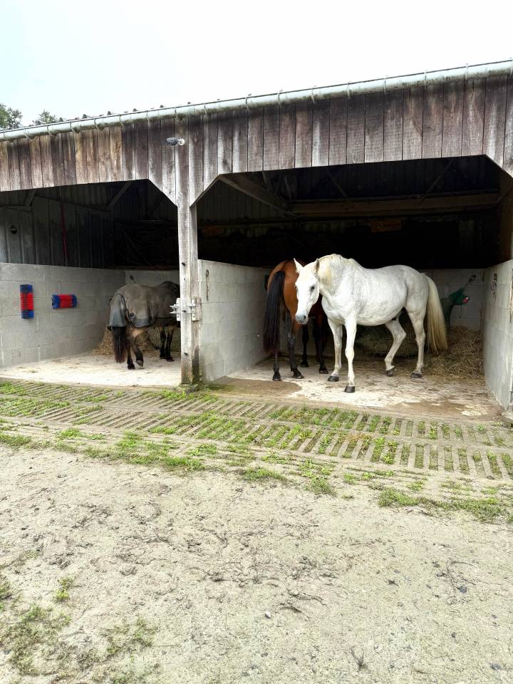 Bonita residencia ecuestre En venta Ile y Vilaine