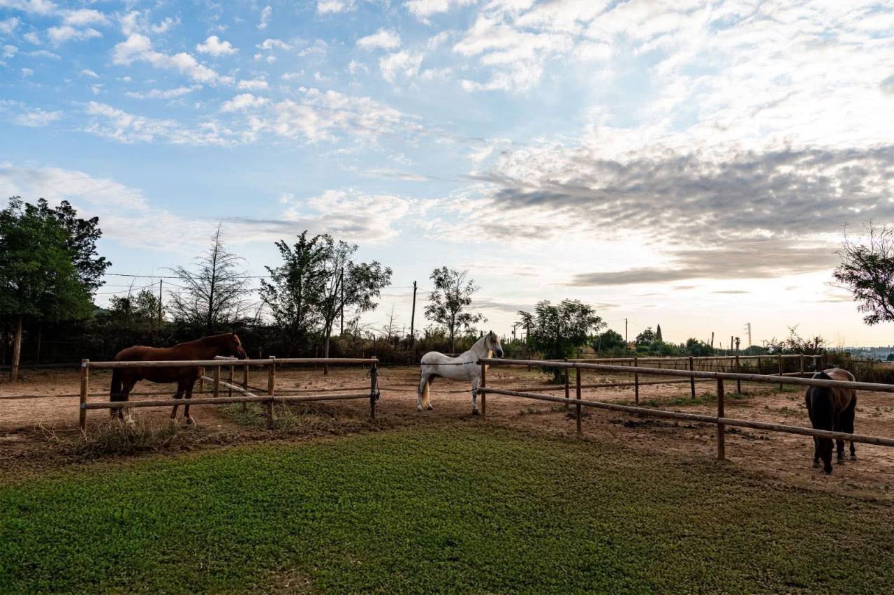 Centro ecuestre En venta Gerona
