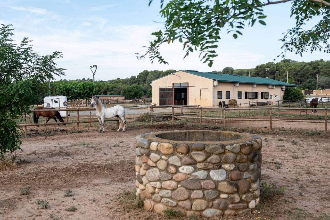 Centro ecuestre En venta Gerona