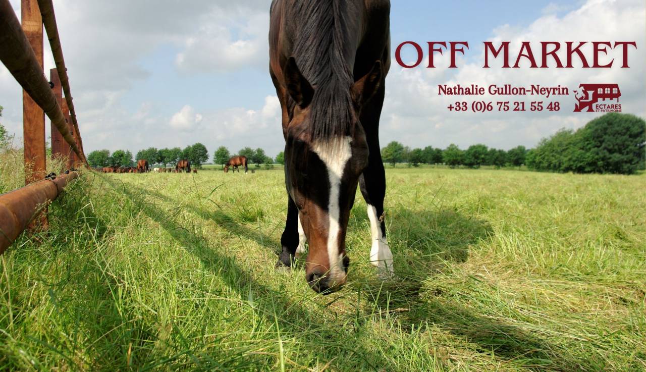 Propiedad ecuestre En venta Saona y Loira