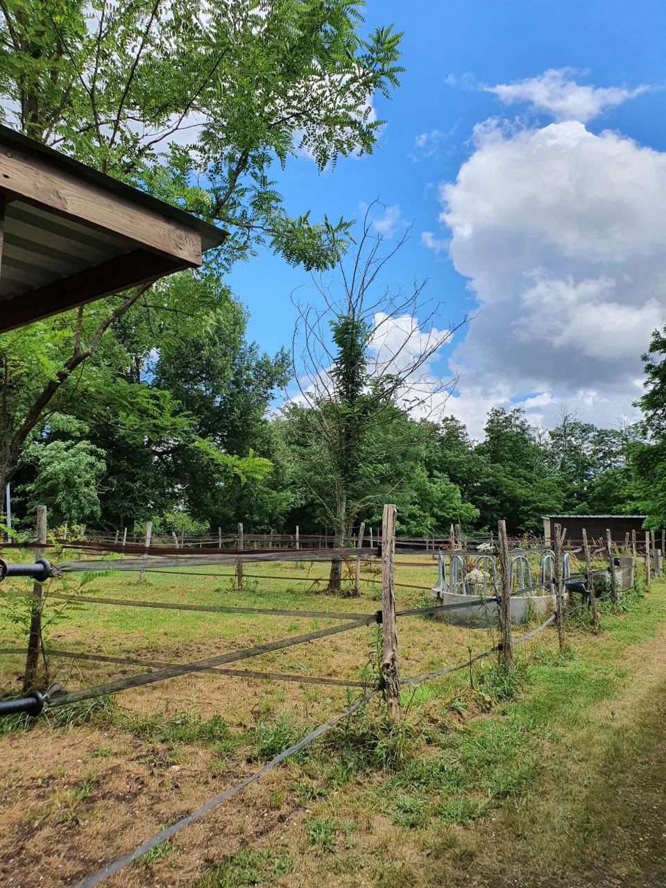 Propiedad ecuestre En venta Tarn y Garona