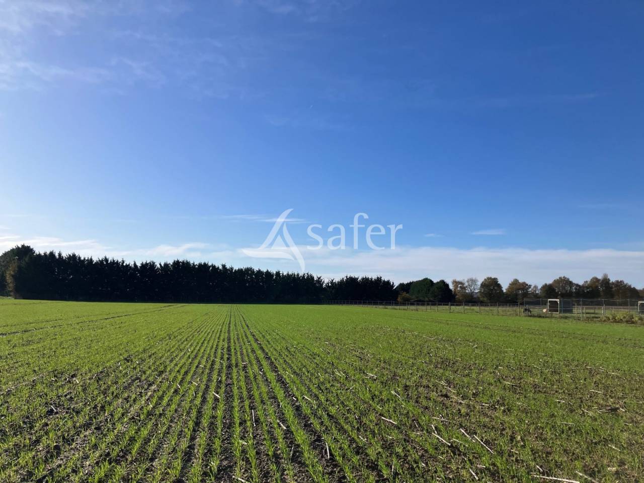 Explotaci&oacute;n agr&iacute;cola En venta Indre y Loira