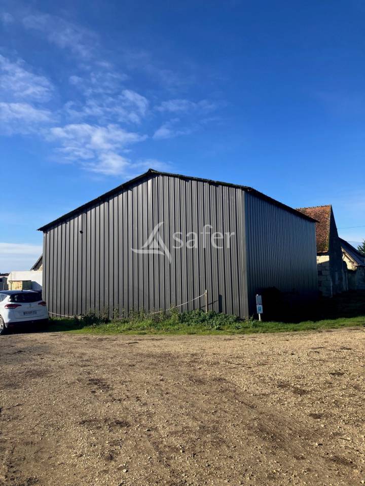 Explotaci&oacute;n agr&iacute;cola En venta Indre y Loira