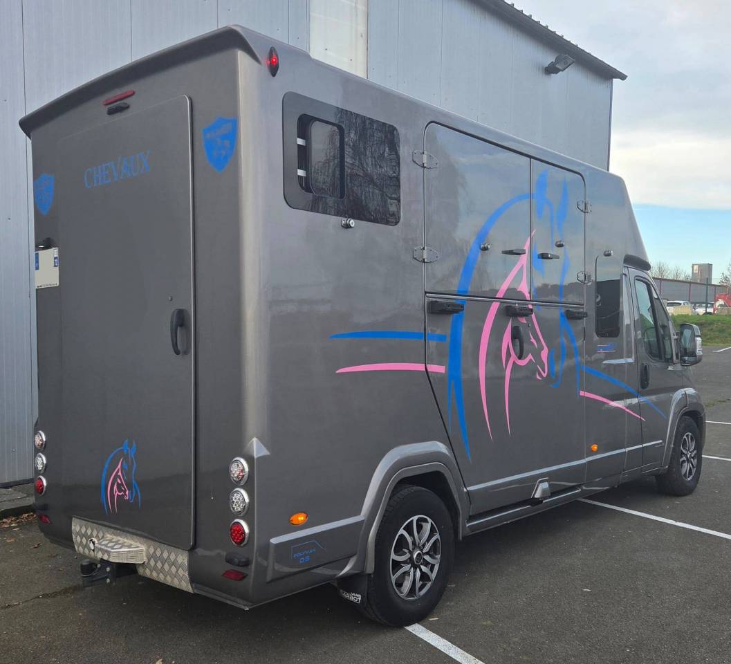 Furgoneta para caballos Barbot Ducato 2022 De segunda mano