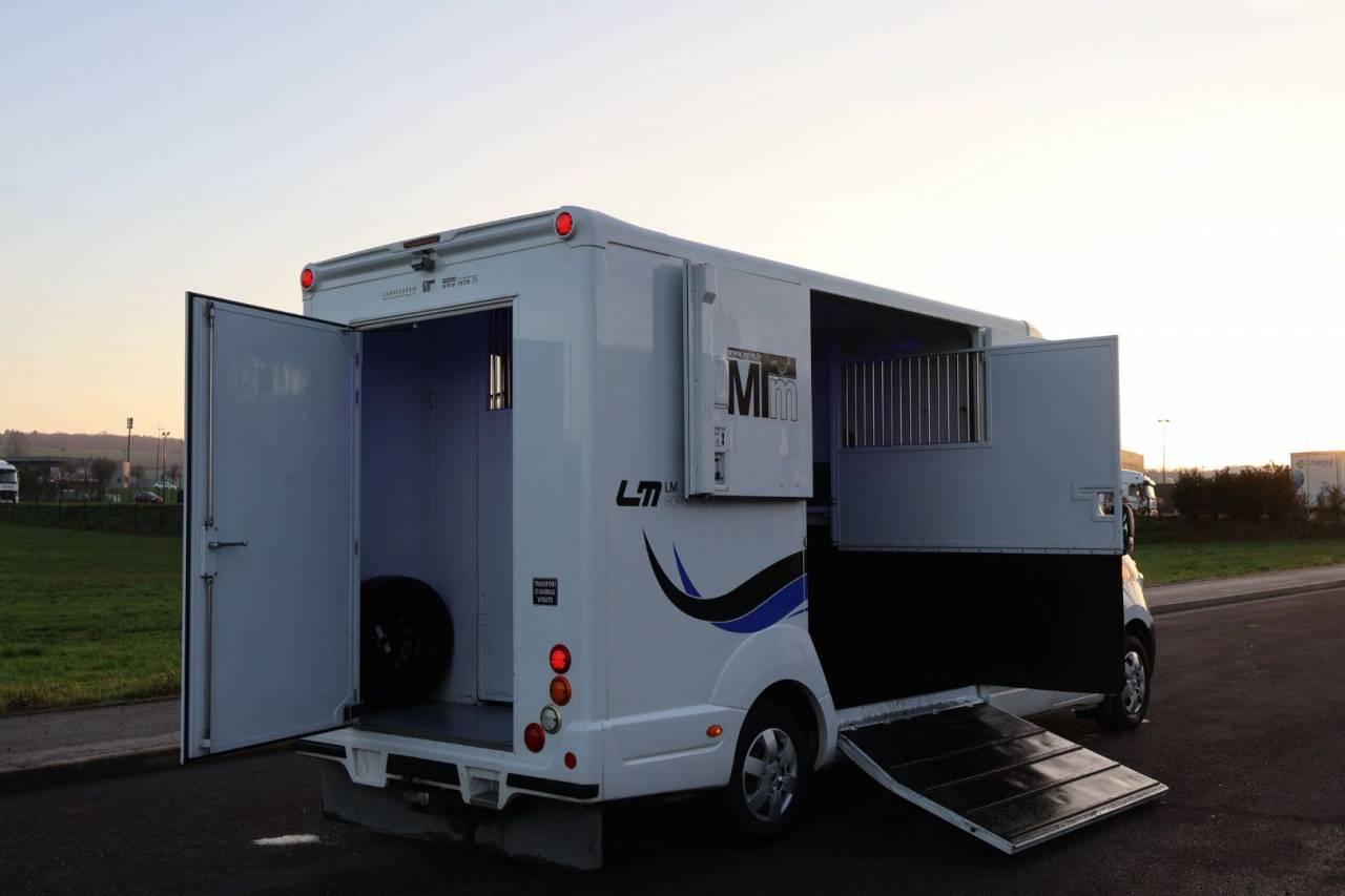 Furgoneta para caballos MTM FILOVAN MASTER  2018 De segunda mano