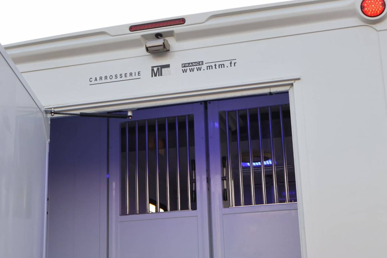 Furgoneta para caballos MTM FILOVAN MASTER  2018 De segunda mano