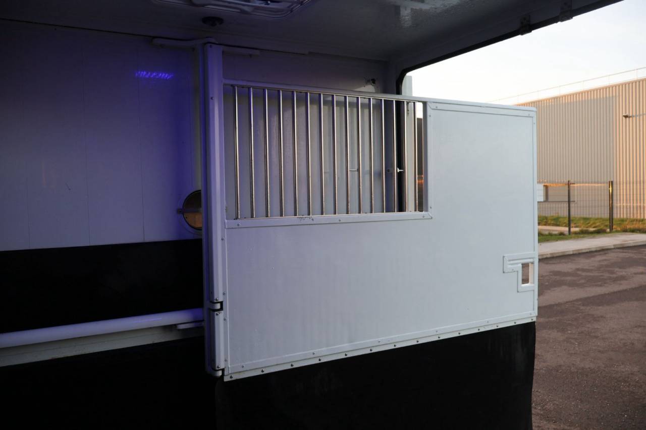 Furgoneta para caballos MTM FILOVAN MASTER  2018 De segunda mano