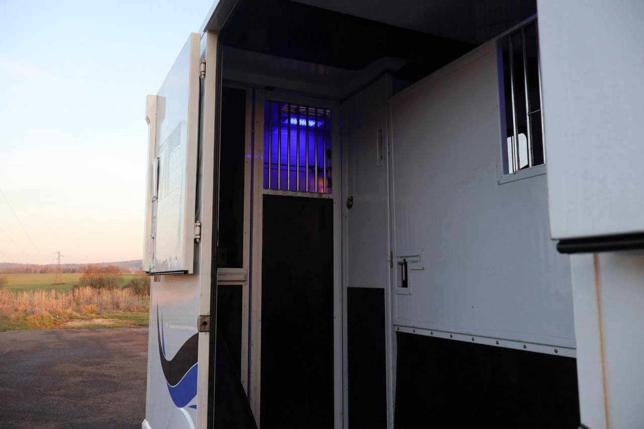 Furgoneta para caballos MTM FILOVAN MASTER  2018 De segunda mano