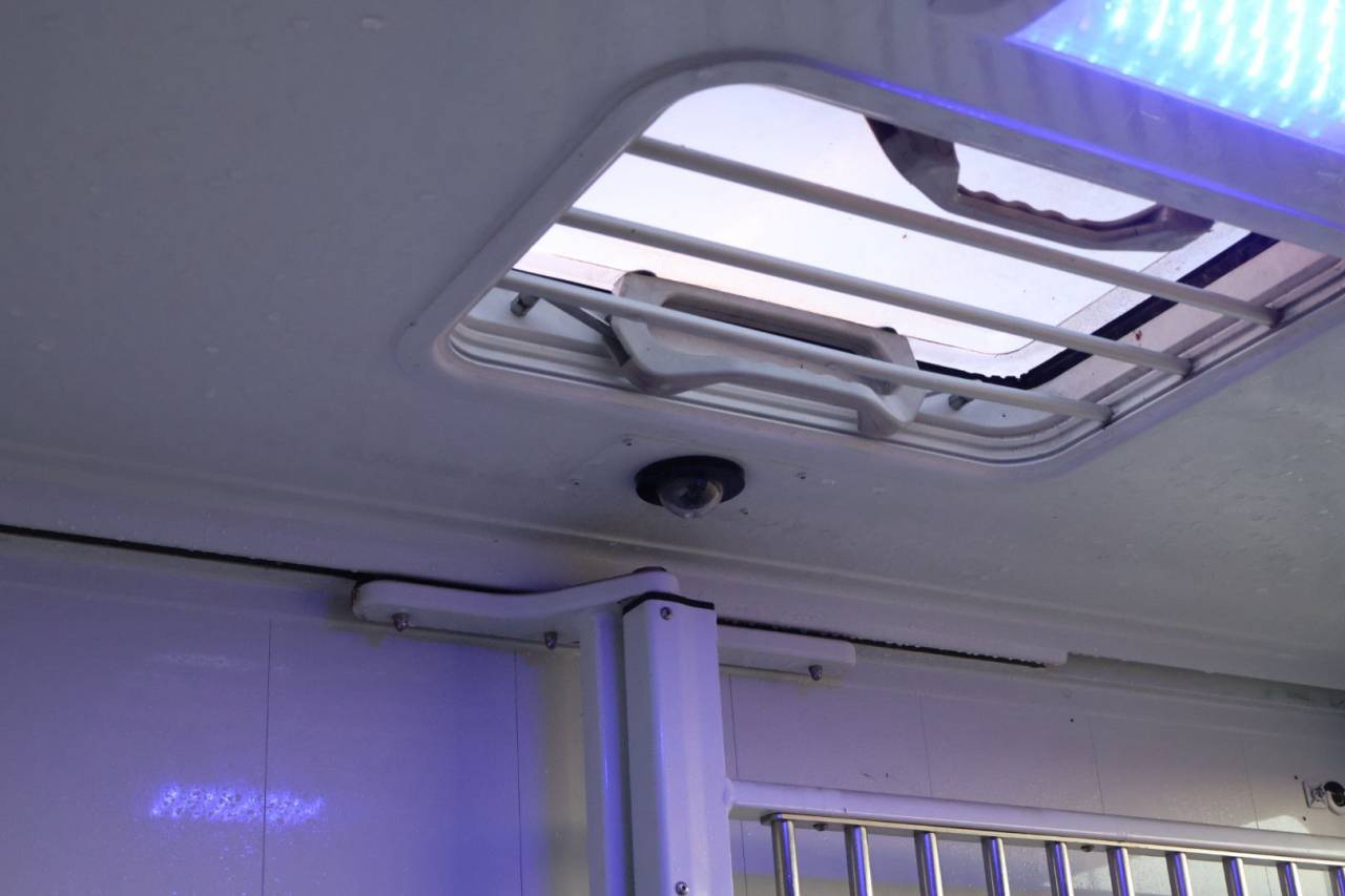 Furgoneta para caballos MTM FILOVAN MASTER  2018 De segunda mano