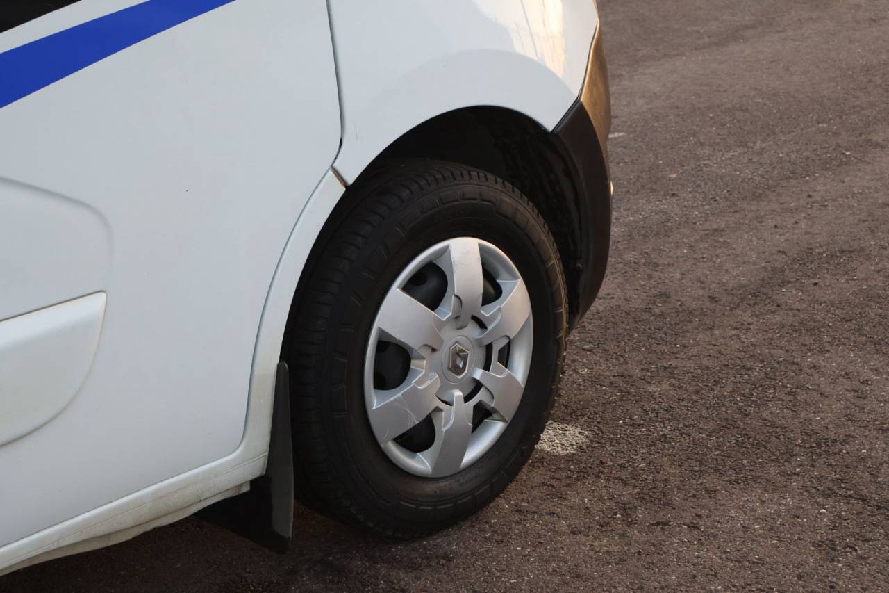 Furgoneta para caballos MTM FILOVAN MASTER  2018 De segunda mano