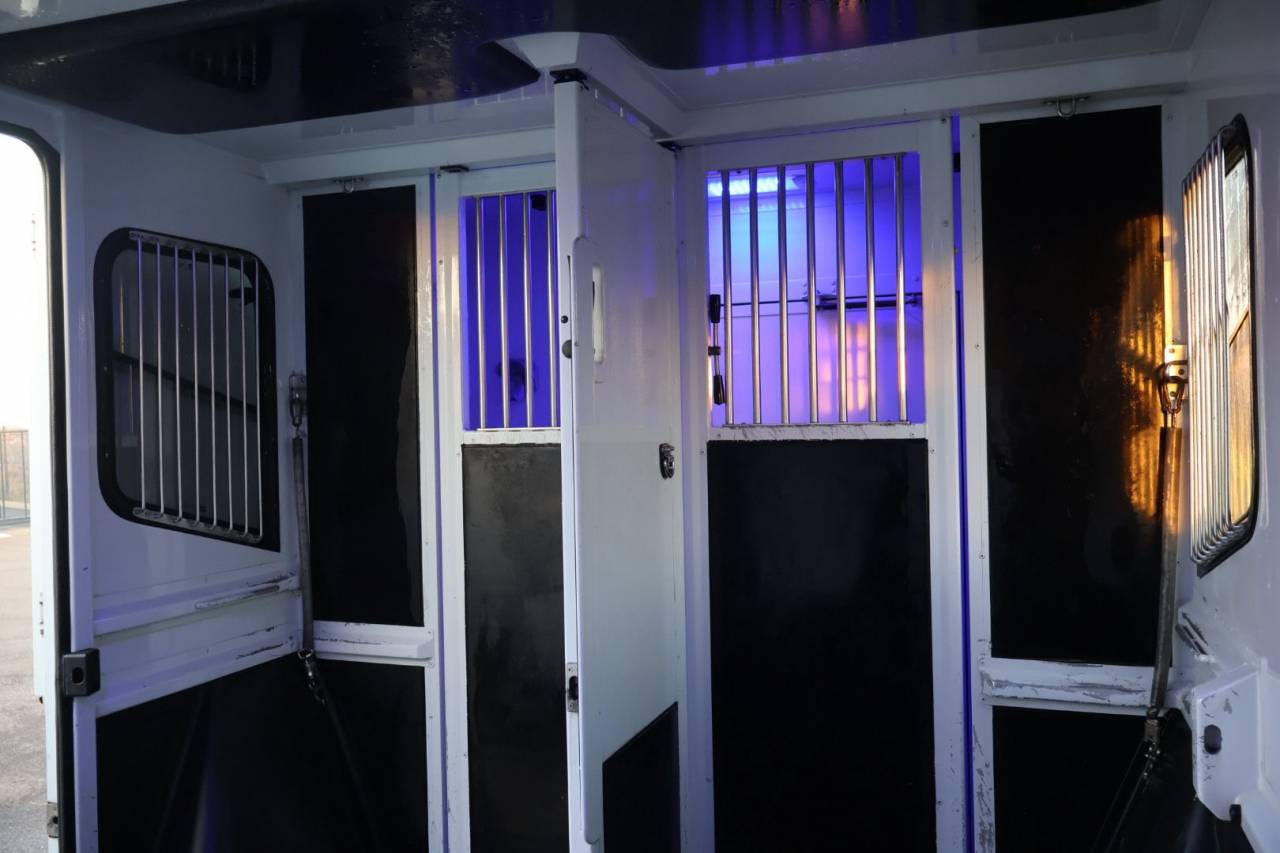 Furgoneta para caballos MTM FILOVAN MASTER  2018 De segunda mano