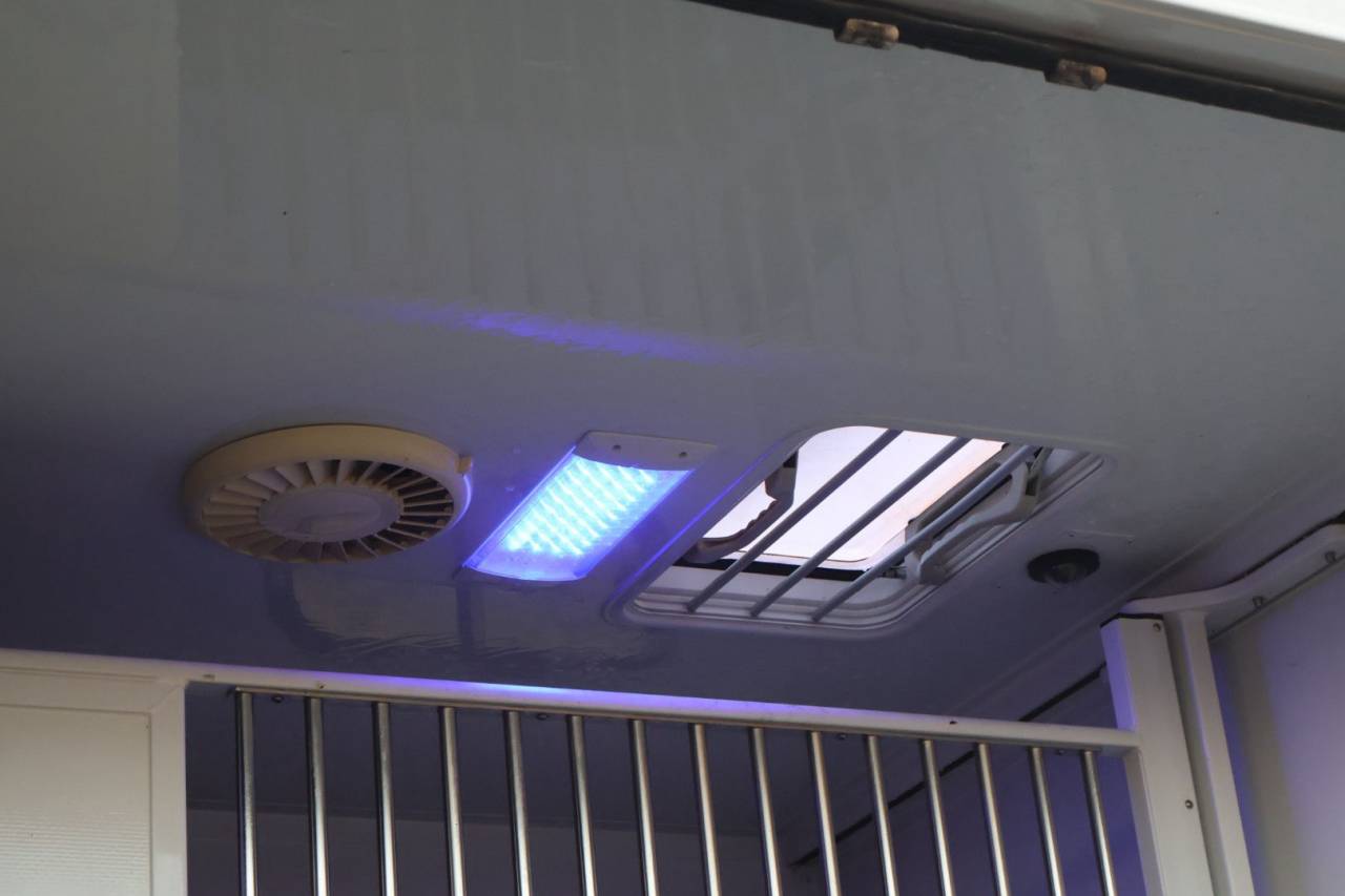 Furgoneta para caballos MTM FILOVAN MASTER  2018 De segunda mano