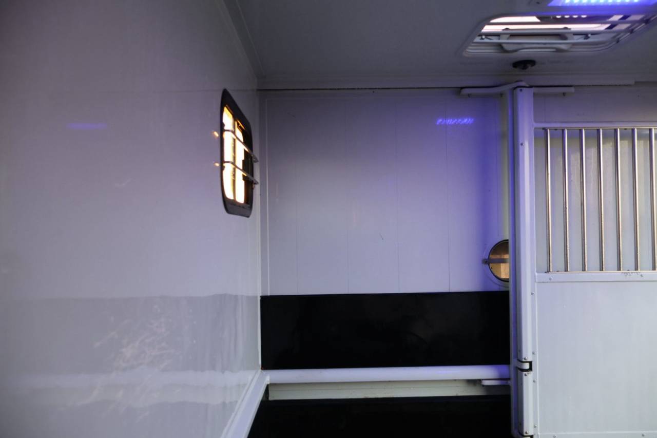 Furgoneta para caballos MTM FILOVAN MASTER  2018 De segunda mano