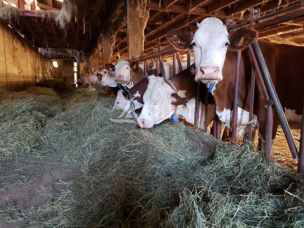 Explotaci&oacute;n agr&iacute;cola En venta Jura