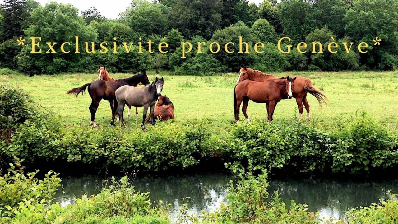 Cuadra de propietarios En venta 