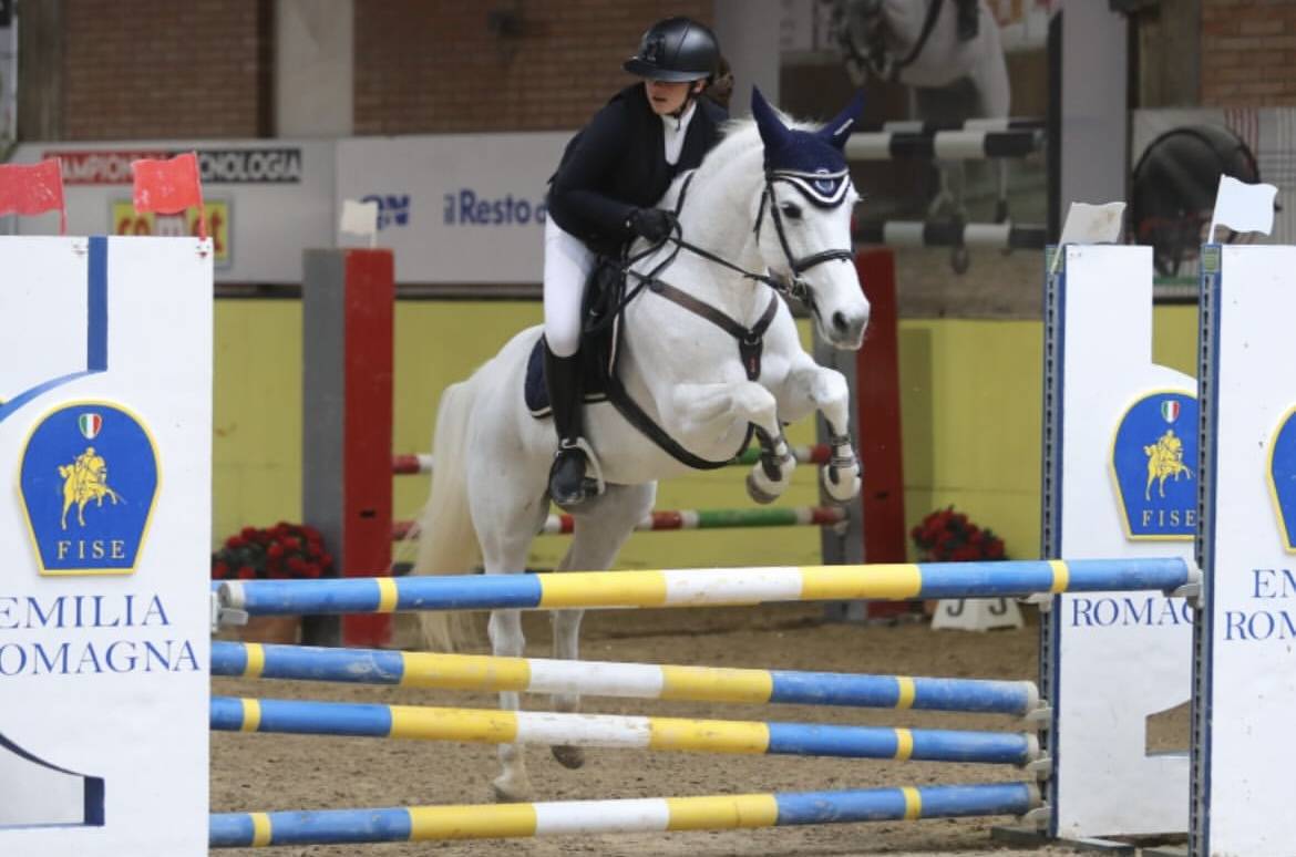 Yegua Connemara En venta 2011 Tordo por VA TOUT DU RUERE