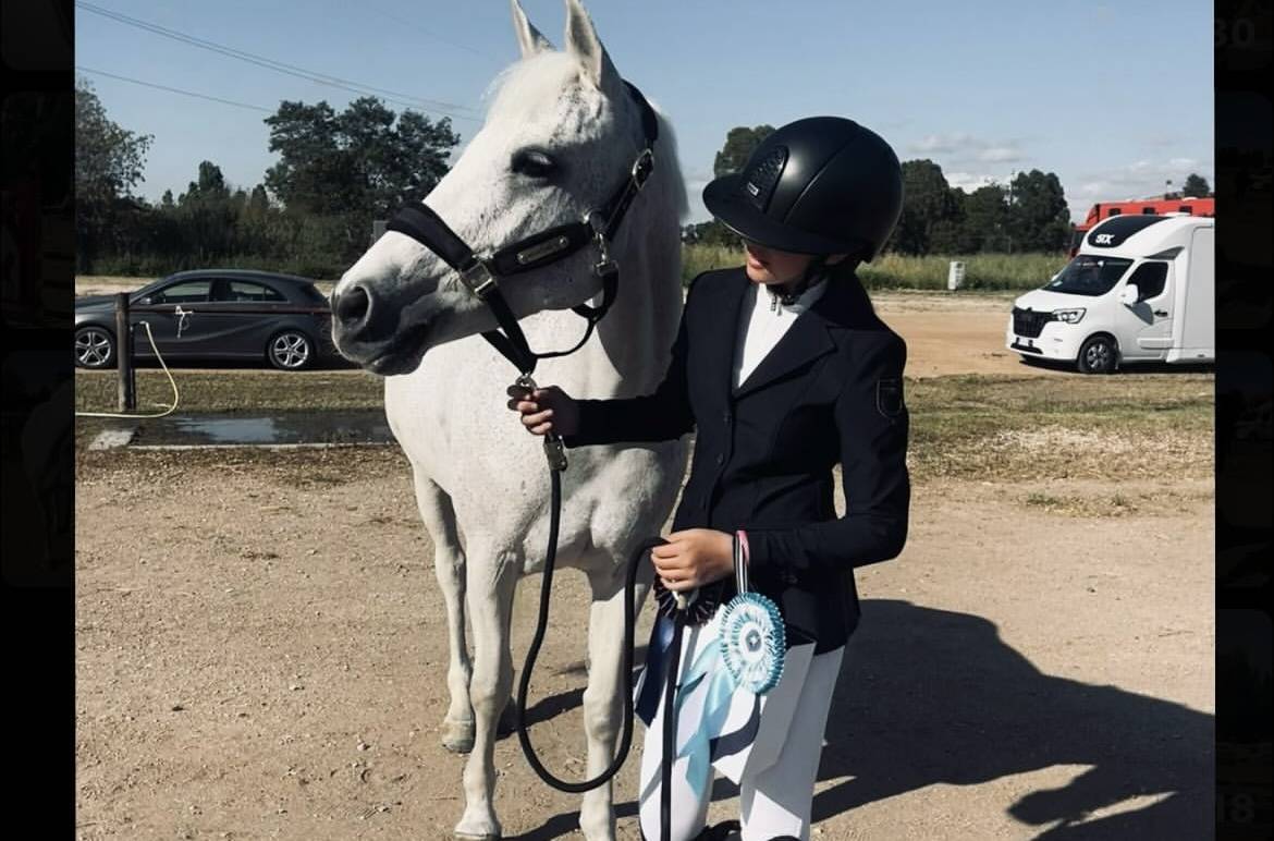 Yegua Connemara En venta 2011 Tordo por VA TOUT DU RUERE