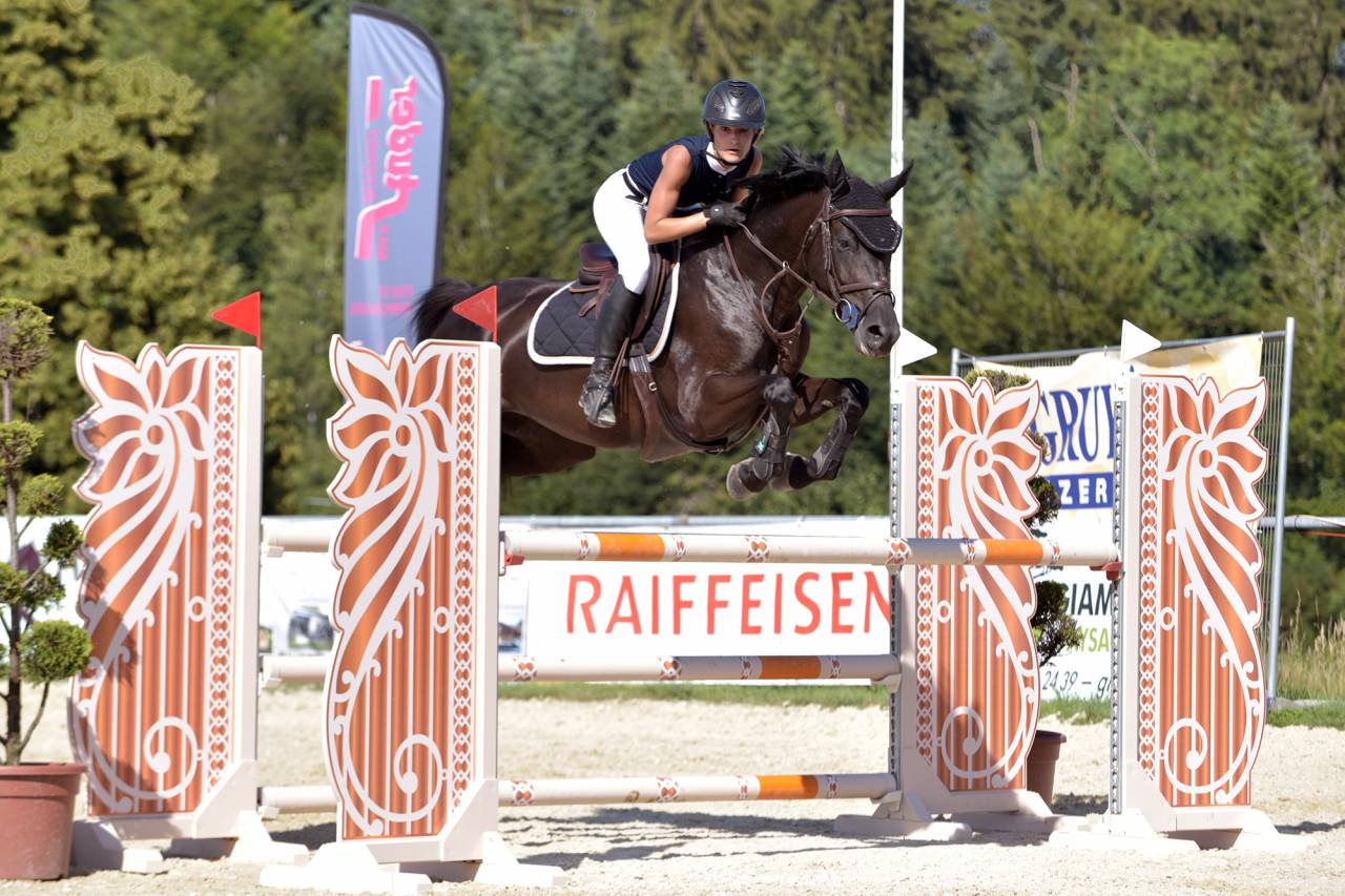 Yegua Silla Franc&eacute;s En venta 2016 Negro por United sunheup