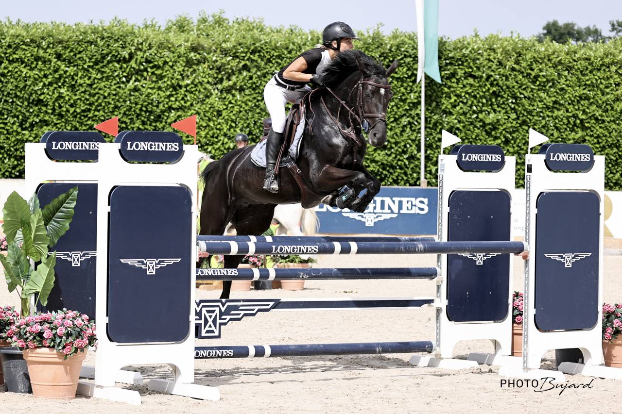 Yegua Silla Franc&eacute;s En venta 2016 Negro por United sunheup