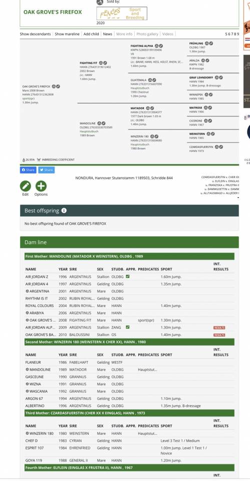 Yegua Silla Franc&eacute;s En venta 2020 Alaz&aacute;n