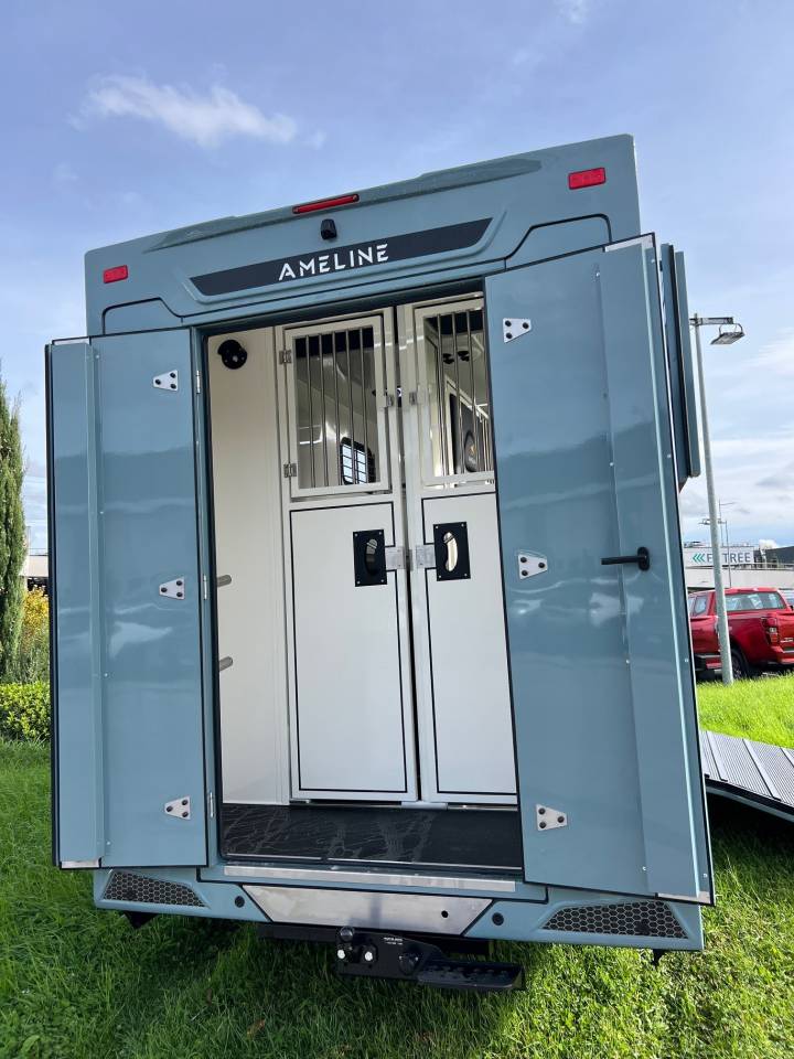 Furgoneta para caballos Ameline HARAS  2025 Nuevo