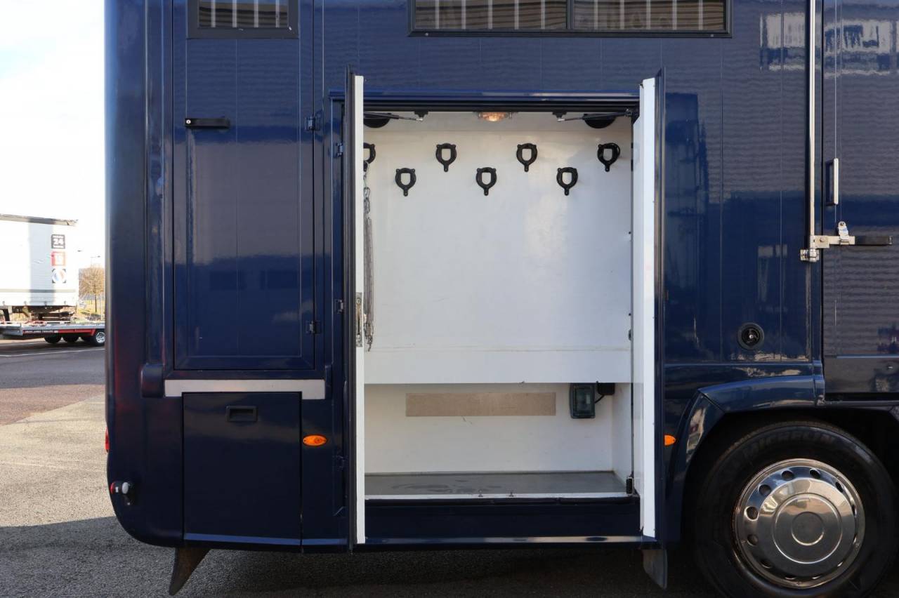 Cami&oacute;n para caballos STX STX 6 CHEVAUX MEGA POP OUT 2011 De segunda mano