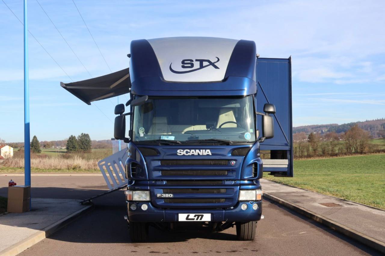 Cami&oacute;n para caballos STX STX 6 CHEVAUX MEGA POP OUT 2011 De segunda mano