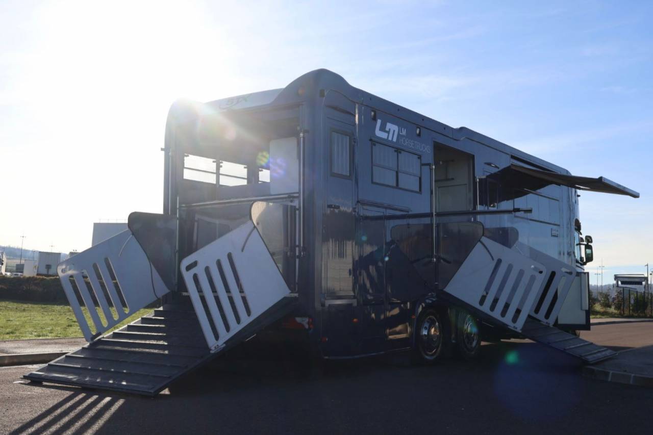 Cami&oacute;n para caballos STX STX 6 CHEVAUX MEGA POP OUT 2011 De segunda mano