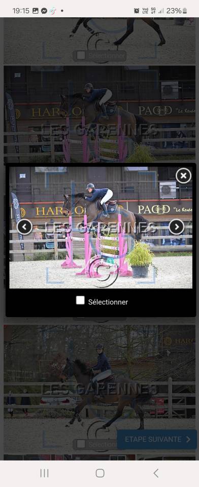 Yegua Silla Franc&eacute;s En venta 2020 Bayo por Dexter de Kerglenn