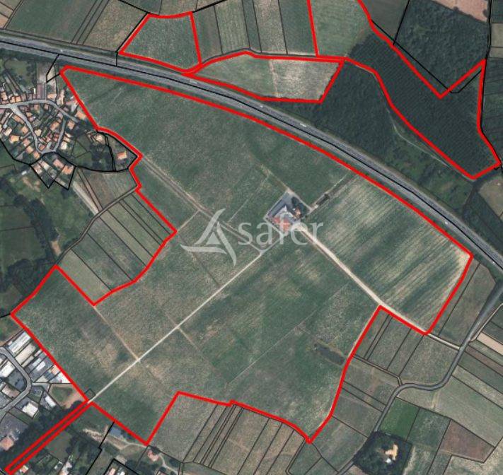 Explotaci&oacute;n vit&iacute;cola / Vi&ntilde;edo En venta Loira Atl&aacute;ntico