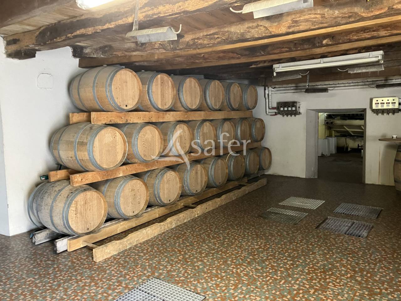 Explotaci&oacute;n vit&iacute;cola / Vi&ntilde;edo En venta Loira Atl&aacute;ntico