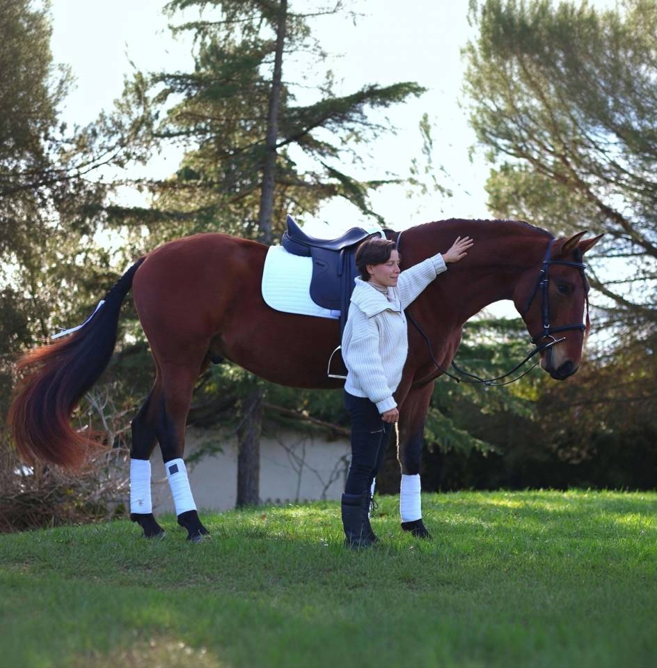 Caballo castrado PRE Pura Raza Espa&ntilde;ola En venta 2021 Bayo