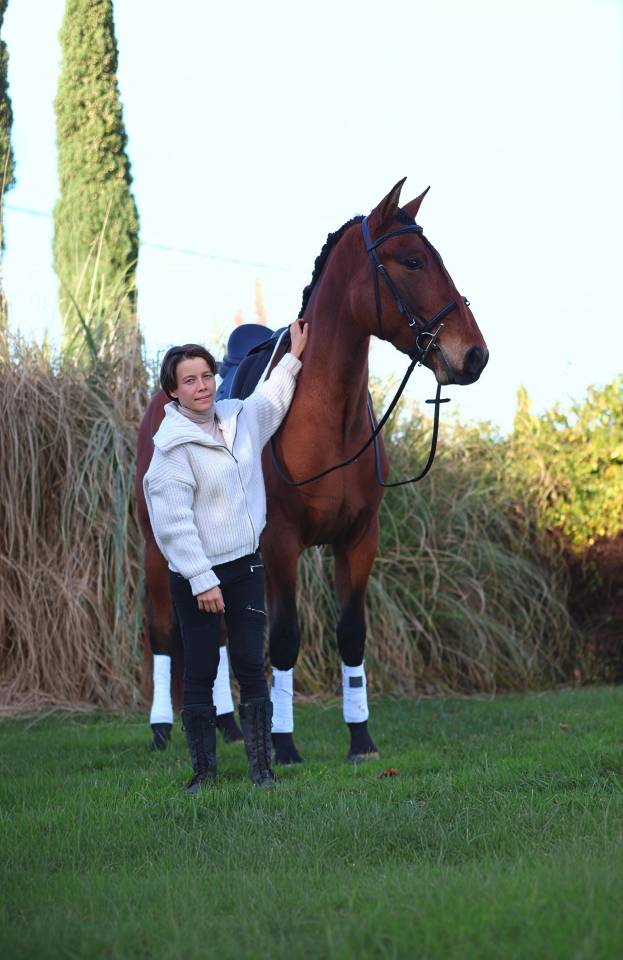 Caballo castrado PRE Pura Raza Espa&ntilde;ola En venta 2021 Bayo