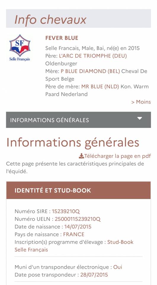 Caballo castrado Silla Franc&eacute;s En venta 2015 Bayo por L&rsquo;arc de triomphe