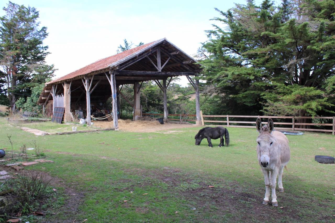 Granja ecuestre En venta Gers
