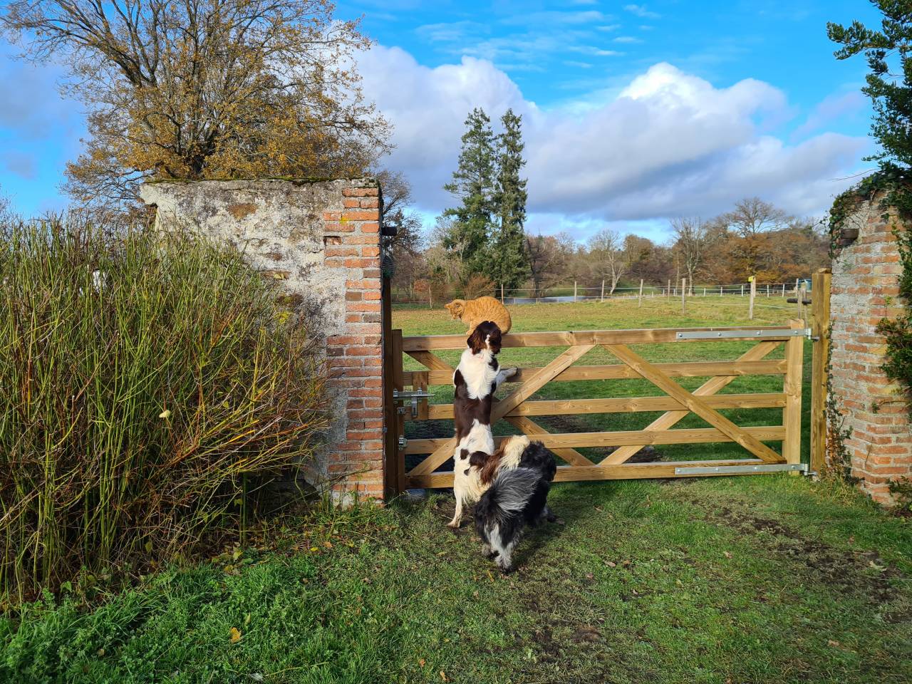 Bonita residencia ecuestre En venta Creuse