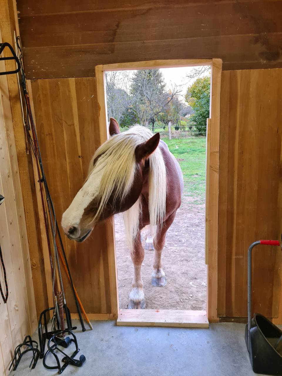 Bonita residencia ecuestre En venta Creuse