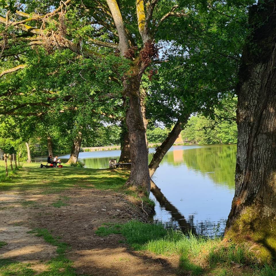 Bonita residencia ecuestre En venta Creuse