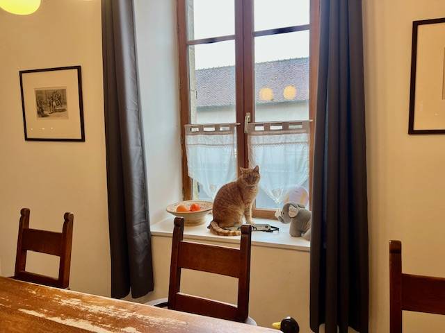 Bonita residencia ecuestre En venta Creuse