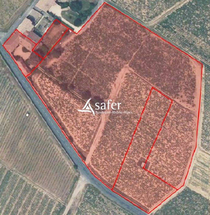 Propiedad rural En venta R&oacute;dano